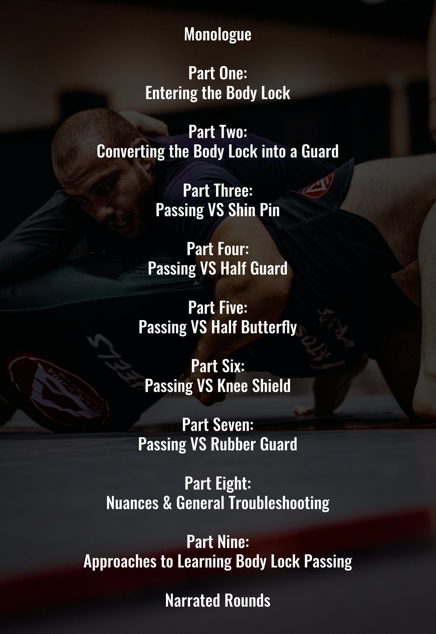 The back cover art of "The Froggy Lock System" by Sebastian Attard, showcasing each chapter of the instructional