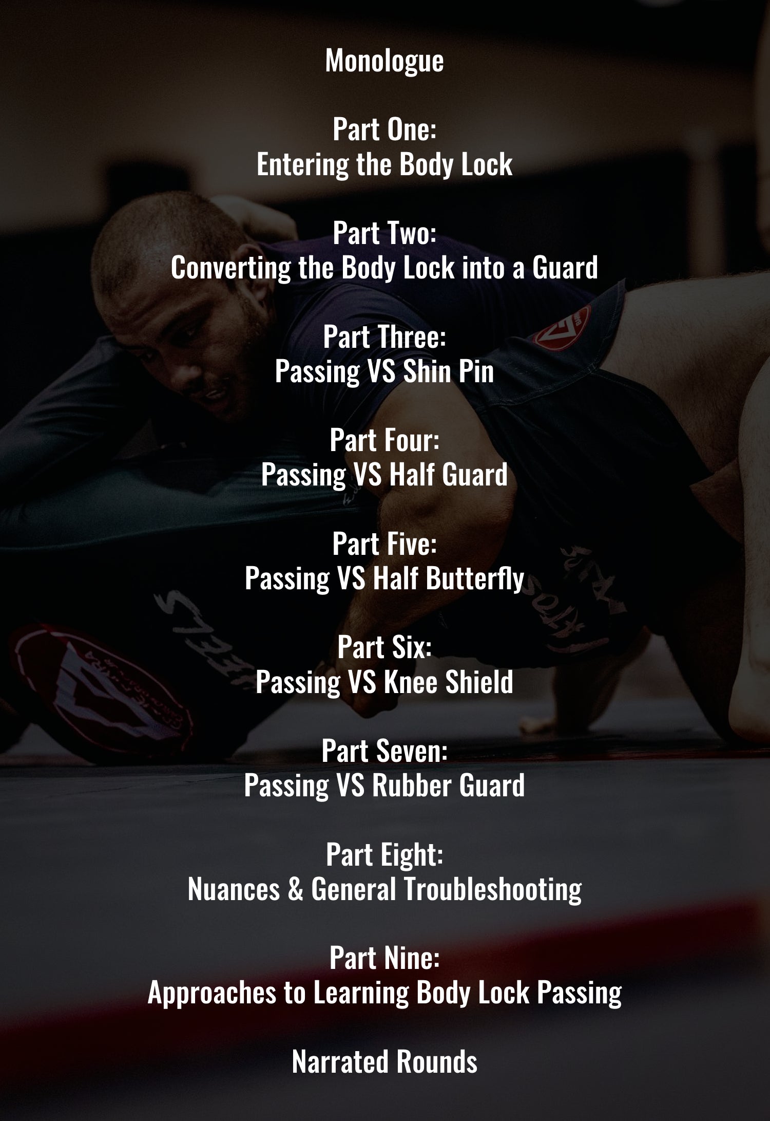 The back cover art of "The Froggy Lock System" by Sebastian Attard, showcasing each chapter of the instructional